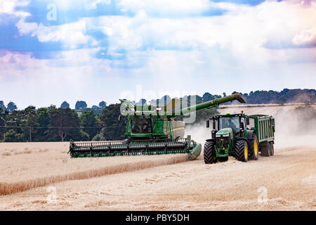 Earls Barton, Northamptonshire, Angleterre. 26 juillet, 2018. Un champ off Earls Barton Road avec un John Deere HillMaster S785i moissonneuse-batteuse, rendant le plus Banque D'Images