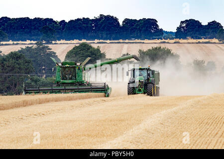 Earls Barton, Northamptonshire, Angleterre. 26 juillet, 2018. Un champ off Earls Barton Road avec un John Deere HillMaster S785i moissonneuse-batteuse, rendant le plus Banque D'Images