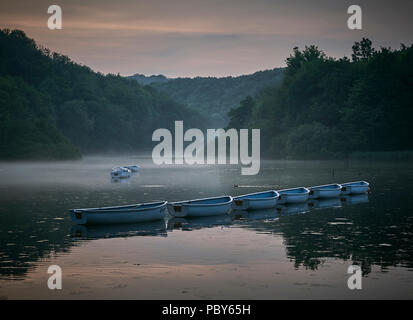 Barques sur un lac encore dans la lumière du soir avec brouillard Banque D'Images