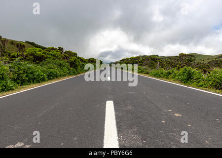 Tout droit EN3 route longitudinale au nord-est du mont Pico, l'île de Pico, Açores, Portugal Banque D'Images