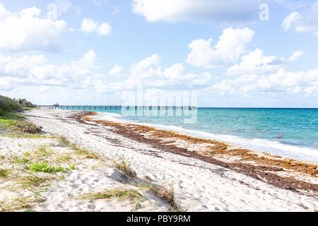 Vue paysage de Juno Beach Pier jetée à Jupiter, en Floride, journée ensoleillée, l'eau turquoise, sable, personne, les algues, le ciel nuageux, océan Atlantique Banque D'Images