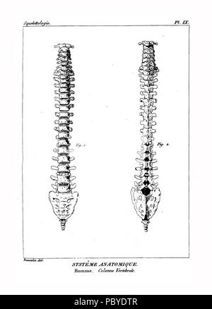 190 Encyclopédie méthodique - Systeme Anatomique, Pl9 Banque D'Images