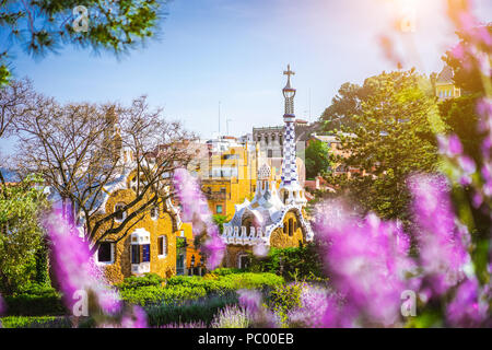 Maison de conte dans le Parc Guell en violet vif lavendel flowers frame. L'emplacement célèbre coucher de soleil. week-end d'été situé sur la Colline du Carmel, Barcelone, Espagne Banque D'Images