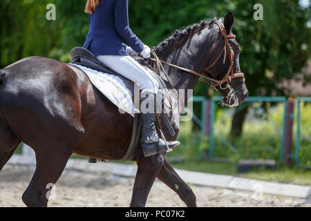 Girl riding horse sur concours de dressage Banque D'Images