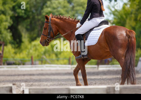 Girl riding horse sorrel sur concours de dressage Banque D'Images