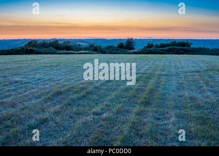 Dumpdon fort de colline, la belle vallée de l'Otter près de Beacon, Honiton, Devon, UK. Campagne britannique au coucher du soleil . Banque D'Images