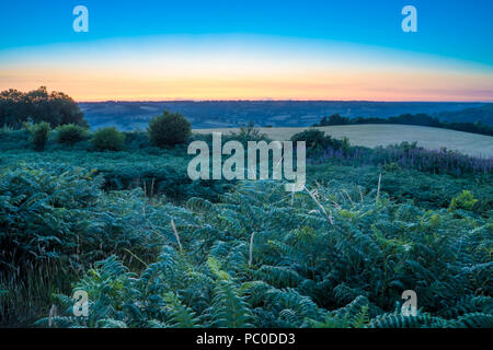 Dumpdon fort de colline, la belle vallée de l'Otter près de Beacon, Honiton, Devon, UK. Campagne britannique au coucher du soleil . Banque D'Images