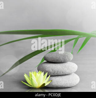 L'équilibre des pierres, blanc fleur lotus et vert feuille de palmier. Concept spa et zen. Banque D'Images