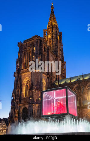 Strasbourg, 12,000 ans squelette de mammouth suspendue en cas d'affichage, jet fontaine à eau, Cathédrale illuminée, nuit, Alsace, France, Europe, Banque D'Images