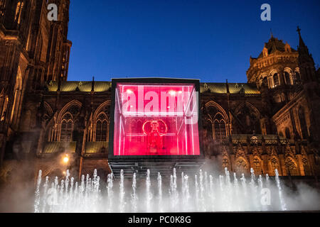 Strasbourg, 12,000 ans squelette de mammouth suspendue en cas d'affichage, jet fontaine à eau, Cathédrale illuminée, nuit, Alsace, France, Europe, Banque D'Images