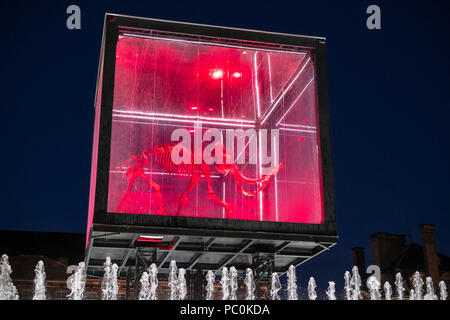 Strasbourg, Mammuthus Volantes,12,000 ans squelette de mammouth suspendue en cas d'affichage, jet jet d'eau, nuit, Alsace, France, Europe, Banque D'Images