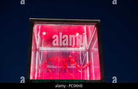 Strasbourg, Mammuthus Volantes,12,000 ans squelette de mammouth suspendue en cas d'affichage, nuit, Alsace, France, Europe, Banque D'Images