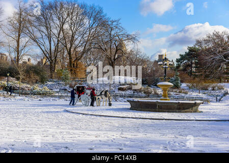 Winter Scenery dans Central Park de New York avec la glace et la neige, USA Banque D'Images