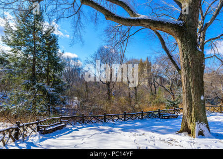 Winter Scenery dans Central Park de New York avec la glace et la neige, USA Banque D'Images