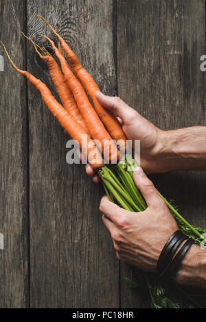 Les carottes dans les mains sur fond de bois. L'agriculture, la récolte de légumes racines. Vue de dessus, la composition verticale Banque D'Images