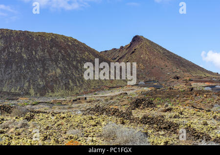 Vignoble sur Lanzarote, Caldera Colorada, îles Canaries, Espagne Banque D'Images