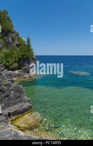 Aqua vert d'eau clair lumineux sur la péninsule Bruce. De l'eau claire comme du cristal montre des roches calcaires. Les cèdres et les conifères. Banque D'Images