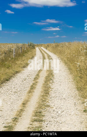 Promenades sur le sentier de South Downs, Sussex Banque D'Images