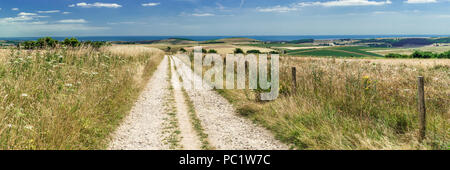 Promenades sur le sentier de South Downs, Sussex Banque D'Images