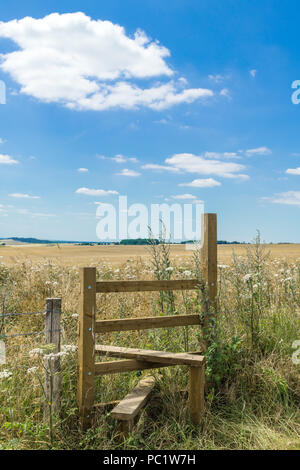 Promenades sur le sentier de South Downs, Sussex Banque D'Images