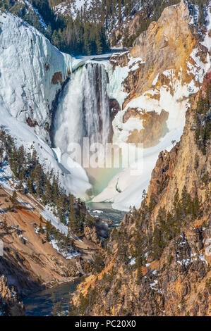 Yellowstone Falls inférieur et Grand Canyon de la Yellowstone sur la rivière Yellowstone dans le Parc National de Yellowstone dans le Wyoming Banque D'Images