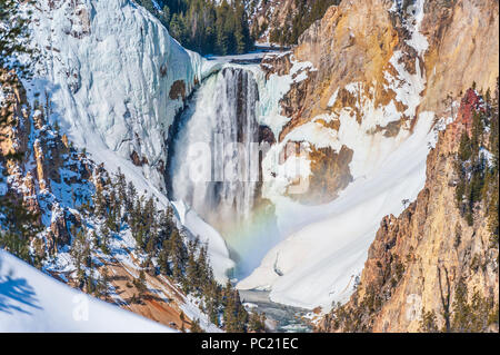 Yellowstone Falls inférieur et Grand Canyon de la Yellowstone sur la rivière Yellowstone dans le Parc National de Yellowstone dans le Wyoming Banque D'Images