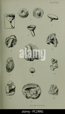 Les résumés d'articles - Histoire naturelle de Brighton et Sussex and Philosophical Society Banque D'Images