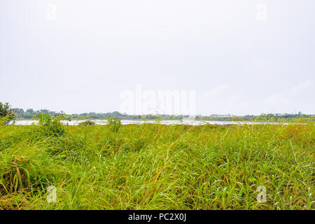 Vue sur le Lac Pitch, le plus grand dépôt naturel d'asphalte dans le monde, La Brea, Trinité-et-Tobago. Il est rapporté à 75 m de profondeur. Banque D'Images