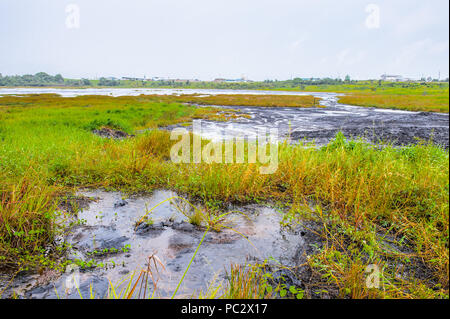 Vue sur le Lac Pitch, le plus grand dépôt naturel d'asphalte dans le monde, La Brea, Trinité-et-Tobago. Il est rapporté à 75 m de profondeur. Banque D'Images