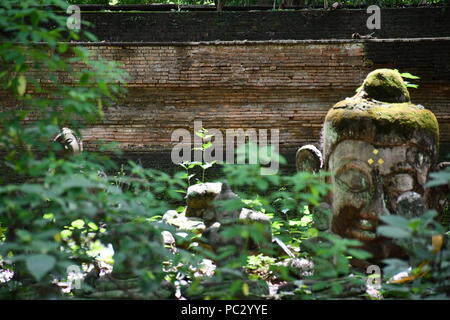 Images du jardin des reliques du Bouddha et d'autres reste à statue Wat Umong dans Chiang Mai, Thaïlande. Banque D'Images