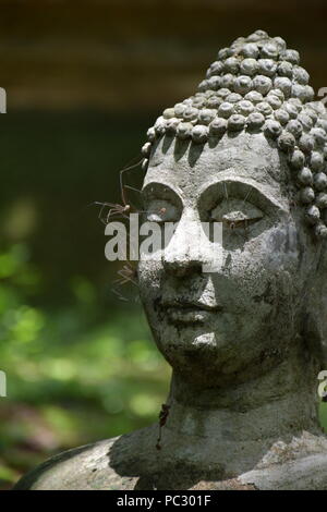 Images du jardin des reliques du Bouddha et d'autres reste à statue Wat Umong dans Chiang Mai, Thaïlande. Banque D'Images