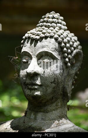 Images du jardin des reliques du Bouddha et d'autres reste à statue Wat Umong dans Chiang Mai, Thaïlande. Banque D'Images