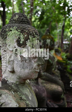 Images du jardin des reliques du Bouddha et d'autres reste à statue Wat Umong dans Chiang Mai, Thaïlande. Banque D'Images