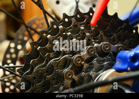 Lubrification de graisse les engrenages d'une bicyclette d'engrenage Banque D'Images