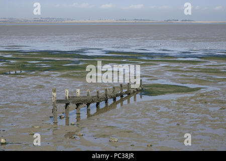 Épi en bois dans le sud de Swale, Kent Wildlife Trust. À l'égard de l'île de Sheppey. Banque D'Images