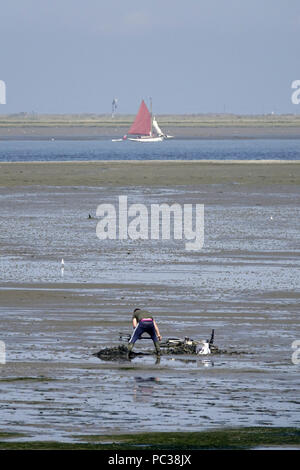 Pour creuser ou lugworm sandworm (Arenicola marina) à South Swale, Kent. À l'égard de l'île de Sheppey. Banque D'Images