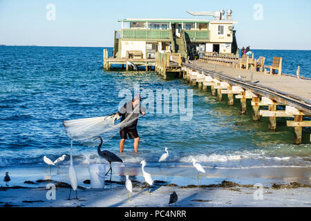 Floride, Anna Maria Island, Anna Maria City Pier, Rod & Reel, restaurant restaurants cuisine restaurants café cafés, jetée en bois, homme hommes homme, filet de coulage, pêche, W Banque D'Images