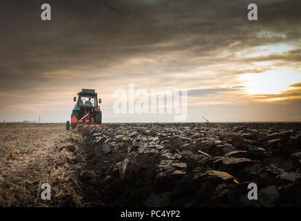 Le tracteur laboure field at sunset Banque D'Images