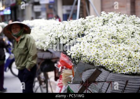 Vendeur vente de fleurs à partir de son mobile magasin de bicyclettes. Hanoi. Le Vietnam. Dans le monde d'utilisation | Banque D'Images