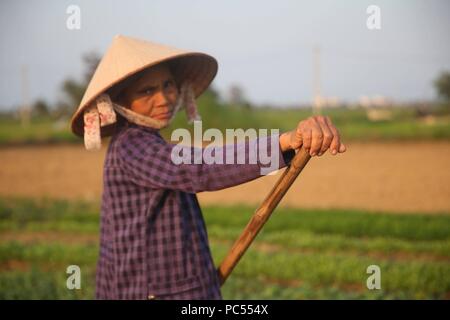 Vietnamienne portant Chapeau conique traditionnel. Hoi An. Le Vietnam. Dans le monde d'utilisation | Banque D'Images