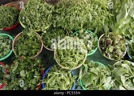 Kon Tum marché. Salade à la vente. Le Vietnam. Dans le monde d'utilisation | Banque D'Images