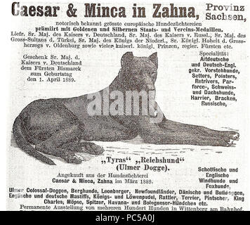 86 Bismarcksdogs1889 Banque D'Images