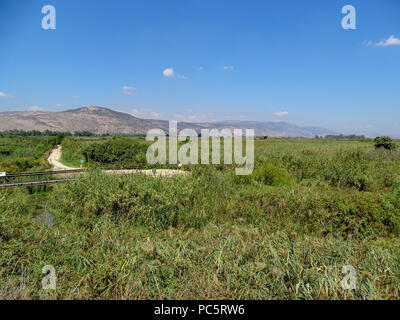 Israël, Vallée de Hula, paysage lac Agmon Banque D'Images