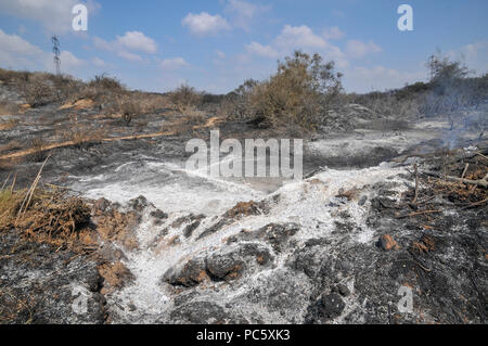 Pompiers lutter contre un incendie causé par des bombes qui ont été transportés de cerf-volant de Gaza avec un chiffon imbibé d'essence allumé, à mis le feu à un champs d'Israël Banque D'Images