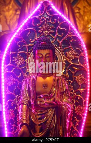 Chua Thien Hung pagode bouddhiste. Statue de Bouddha avec neon light. ? Ho Chi Minh Ville. Le Vietnam. Dans le monde d'utilisation | Banque D'Images