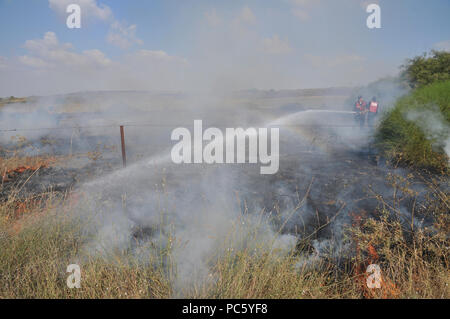 Pompiers lutter contre un incendie causé par des bombes qui ont été transportés de cerf-volant de Gaza avec un chiffon imbibé d'essence allumé, à mis le feu à un champs d'Israël Banque D'Images