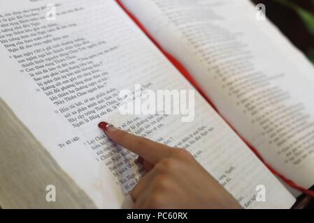 Église du Sacré-Cœur de Jésus ( Nha Tho Tan Dinh ). Femme lisant la Sainte Bible. Close-up. Ho Chi Minh Ville. Le Vietnam. Dans le monde d'utilisation | Banque D'Images
