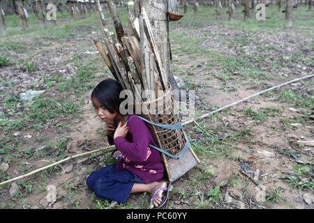 Plantation de caoutchouc, les enfants la collecte du bois de feu. Kon Tum. Le Vietnam. Dans le monde d'utilisation | Banque D'Images