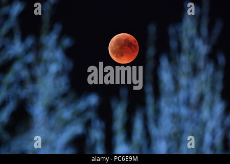 Cheveux à Munich, Allemagne. 27 juillet, 2018. Éclipse lunaire totale - un rouge-cuivre siècle spectacle - photographié sur 27.07.2018 en Haar bei Muenchen, éclipse lunaire totale d'aujourd'hui est la plus longue de ce siècle. Utilisation dans le monde entier | Credit : dpa/Alamy Live News Banque D'Images