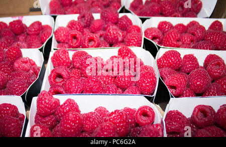 Juicy red raspberry berry en partie papier cartons Banque D'Images